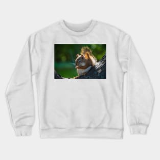 Chunks the Red Squirrel Crewneck Sweatshirt